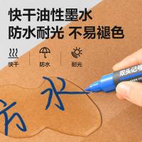 得力（deli） S555 大双头记号笔 10支/盒（单位：盒）蓝