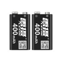 雷摄（LEISE） LS-9V 400mAh USB-Tpye-C 锂电池 2节装 黑色 (单位:盒)