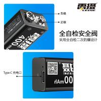 雷摄（LEISE） LS-9V 400mAh USB-Tpye-C 锂电池 2节装 黑色 (单位:盒)