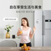 小度在家 智能音箱 乐想版 XD-SSA01-2103 80mm*80mm*50mm (单位:个)