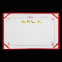 得印（befon） 6549 绒面烫金牡丹花纹款竖式荣誉证书 12K(单位：本)