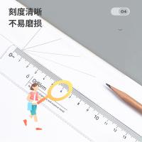 得力（deli） 79754 直尺 245*45mm（单位：把）透明色