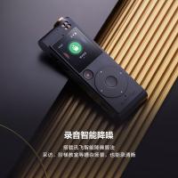 科大讯飞（iFLYTEK） SR201 录音笔 32G 星火版 （单位:支） 灰色