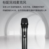 得胜（TAKSTAR） WDA-500 手持版无线户外蓝牙音箱 40W(单位：台)