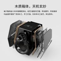 漫步者（EDIFIER）G5000 游戏音响 269.5mm*188.9mm*221.6mm（单位：对） 黑色
