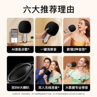 唱吧 G2pro 麦克风 无线蓝牙话筒音响一体 灰金色（单位：个）