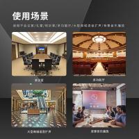 润普（Runpu） RP-YZS3408 国产化专业会议扩音无源柱式扬声器一支 3英寸4单元 6千克 （单位：支）