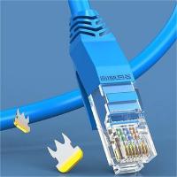 胜为（shengwei） LC-2050C 超五类网线 CAT5e百兆  (单位：条 )蓝色