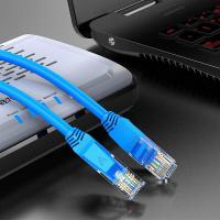 胜为（shengwei） LC-2050C 超五类网线 CAT5e百兆  (单位：条 )蓝色