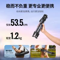 绿联（UGREEN） 15187 三脚架云台 伸展高度175cm（单位：个）