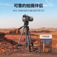 绿联（UGREEN） 15187 三脚架云台 伸展高度175cm（单位：个）