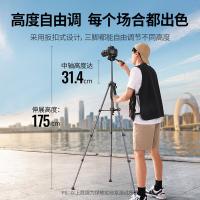 绿联（UGREEN） 15187 三脚架云台 伸展高度175cm（单位：个）
