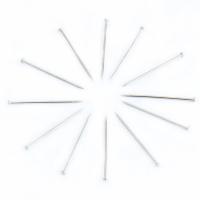 得力（deli） 0039 大头针 100g 不锈钢色 (单位:筒)