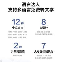 科大讯飞（iFLYTEK） SR302T星火版 AI录音笔 32G+5G云存储（单位：个）星空灰