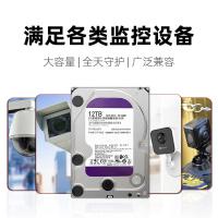 忆捷（EAGET）MG01 3.5英寸监控硬盘 12TB 机械硬盘安防视频录像机监控专用7200转WD10EJRX（单位：个）
