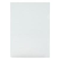 齐心（COMIX） E310 A4 二页文件套 透明 10个/套 （单位：套） 新老包装随机发货