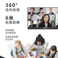 宏视道 HSD-MX21B 麦克风 全向免驱无线蓝牙 （单位:台）