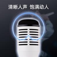得胜（TAKSTAR） HM-300W 无线手持麦克风 1800mAh 白色（单位：支）