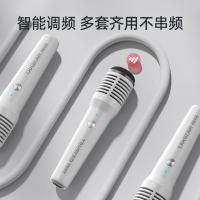 得胜（TAKSTAR） HM-300W 无线手持麦克风 1800mAh 白色（单位：支）