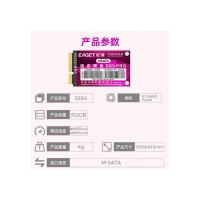 忆捷（EAGET） S350-512G 固态硬盘 30X50X3.5mm （单位：个） 紫色
