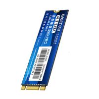 忆捷（EAGET） S300L-256G 固态硬盘 22*80*3.5mm （单位：个） 蓝色