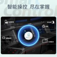 飞利浦（PHILIPS） 24B2N2100LW 显示器 23.8英寸 IPS 100Hz 爱眼低蓝光不闪屏 可壁挂 VGA+HDMI （单位：台） 白色