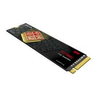 忆捷（EAGET）GS700L-1TBSSD 固态硬盘M.2接口(单位：个）