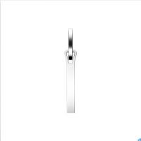 爱国者（aigo） U210 USB2.0便携挂环金属U盘 8G(单位：个) 银色