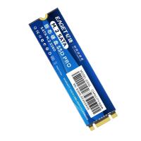忆捷（EAGET）S300L 固态硬盘商用 512GB (单位:个) 蓝色