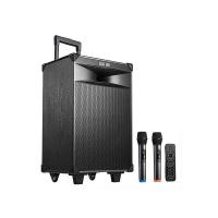 漫步者（EDIFIER） PW312 12英寸户外移动音箱 350x302x572mm （单位：台)
