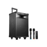 漫步者（EDIFIER） PW312 12英寸户外移动音箱 350x302x572mm （单位：台)