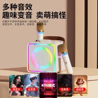 康佳（KONKA） KN13 pro 蓝牙K歌音箱 双麦克风(单位：套) 油彩白