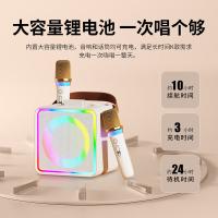 康佳（KONKA） KN13 pro 蓝牙K歌音箱 双麦克风(单位：套) 油彩白