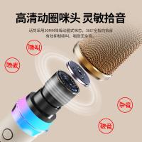 康佳（KONKA） KN13 pro 蓝牙K歌音箱 双麦克风(单位：套) 油彩白