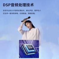 漫步者（EDIFIER） PK305 便携式户外移动音箱配话筒 205*295*130mm（单位：个）