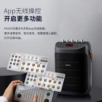 漫步者（EDIFIER） PK305 便携式户外移动音箱配话筒 205*295*130mm（单位：个）