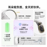 科大讯飞（iFLYTEK） 讯飞 AI 会议耳机·开放式 iFLYBUDS Air2 106.96 x47.48 x22.95mm (单位:副) 冰灰