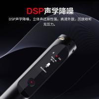 纽曼（Newmine） 录音笔 人工智能系列 i30 64G;125(长)x17.8mm(直径) 12个/箱 (单位:个)