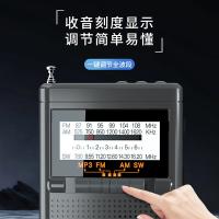 纽曼（Newmine） 指针式收音机 BT80 103*67*31mm 1台/盒 (单位:台) 灰色