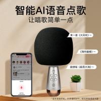 唱吧 麦克风 话筒音响一体无线 G2 PRO 107mm*201mm 12台/箱 (单位:台) 灰色
