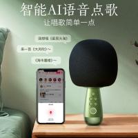 唱吧 G2升级版 小巨蛋麦克风 电池容量2600mA 复古绿（单位：个）