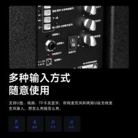 漫步者（EDIFIER） 蓝牙拉杆音箱 配无线麦克风 D3-8s 8英寸 (单位:台) 黑色