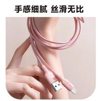 毕亚兹（BIAZE） 1.2米 USB-A to Type-C数据线 5条(单位：组) 彩色