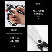 拜格（BAYCO） BD4882 剪刀 全长21X宽9.2cm套长10cm 黑色（单位：把）