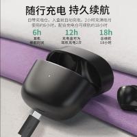 飞利浦（PHILIPS） TAT2206 真无线蓝牙耳机 蓝牙5.0 曜石黑（单位：副）