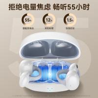 毕亚兹(BIAZE)D77夹耳式TWS蓝牙耳机（单位：副）白色