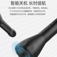 得胜（TAKSTAR） DA10 K歌麦克风音响一体 8W（单位：只）黑色