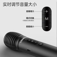得胜（TAKSTAR） DA10 K歌麦克风音响一体 8W（单位：只）黑色