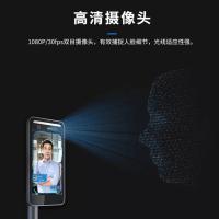 汉王（Hanvon） DS2000 考勤机 人脸 (单位：台) 黑色