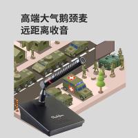润普（Runpu） RP-GYX2421S 桌面式鹅颈麦话筒 导线长度8m（单位：支）